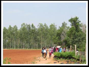 A view of the field visit to FRC, Mulugu