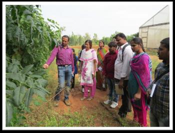 Stakeholders visiting vegetative multiplication garden at FRC, Mulugu