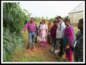 Stakeholders visiting vegetative multiplication garden at FRC, Mulugu