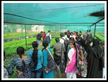 Stakeholders visiting nursery area at FRC, Mulugu